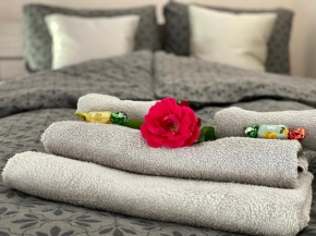 Apartamenty W Brzozowym Gaju